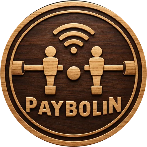 Logo PAYBOLIN